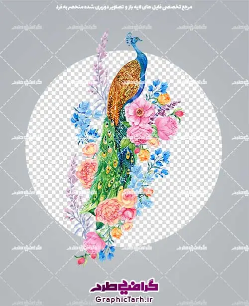 دانلود تصویر لایه باز طاووس بصورت png دانلود تصویر لایه باز طاووس بصورت png