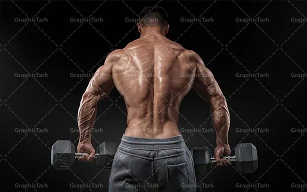 بدنسازی و پرورش اندام بدنسازی و پرورش اندام