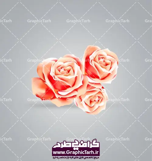 دانلود گل دوربری شده دانلود گل دوربری شده
