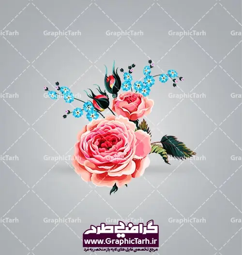 دانلود گل دوربری شده دانلود گل دوربری شده