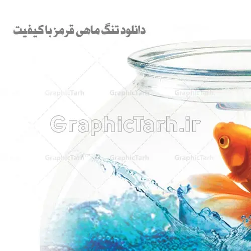 تنگ ماهی قرمز هفت سین لایه باز تنگ ماهی قرمز هفت سین لایه باز | تنگ ماهی برش خورده با کیفیت تنگ ماهی لایه باز سفره هفت سین سفره هفت سین ,تنگ ماهی,ماهی قرمز,هفت سین,هفت سینpng