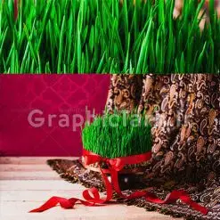 دانلود عکس استوک سبزه سفره هفت سین عید نوروز با کیفیت بالا