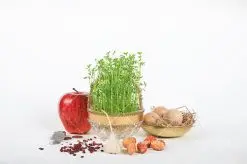 دانلود عکس با کیفیت سفره هفت سین | طرح تصویر با کیفیت سفره هفت سین عید نوروز دانلود طرح تصویر سفره هفت سین عید نوروز و عکس سبزه با کیفیت عالی عکس سفره هفت سین عید برای شما که به دنبال تصاویر باکیفیت در طراحی خود می باشید ارائه شده است. تصاویر سفره هفت سین دارای کیفیت بسیار بالا ، با فرمت jpg تمام المان های موجود در این طرح تصویر با کیفیت می باشد. طرح با کیفیت سفره هفت سین طرح 7 سین عید باستانی نوروز شامل تصاویر با کیفیت: سبزه ، تنگ ماهی ، قرآن ، سیب ، سنبل ، سیر ، تخم مرغ رنگی ، سکه ، سنجد از طرح باکیفیت هفت سین می توان برای طرح نوروز ، بنر تبریک سال نو و ... استفاده نمود. دانلود عکس سفره هفت سین عید نوروز , طرح لایه باز هفت سین نوروز , وکتور هفت سین گرافیکی عید باستانی نوروز و هفت سین : نوروز یکی از کهنترین جشنهای به جا مانده از دوران باستان است که اکنون در مناطق مختلف ایران و کشورهای فارسی زبان آغاز فصل بهار را جشن می گیرند. ابوریحان بیرونی در این باره می گوید : نوروز نخستین روز است از فروردین ماه و از این جهت روزِ نو نام کردند که پیشانی سال نو است. ایرانیان باستان عقیده داشتند، با آمدن نوروز، فروهرها (ریشه کلمه فروردین) یا رواح درگذشتگان به دنیا باز می گردند و اگر خانه را تمیز و بستگان را شاد ببینند خوشحال شده و برای بازماندگان خود دعا میفرستند. دانلود عکس سفره هفت سین عید نوروز با کیفیت بالا : در نوروز ایرانیان سفره هفتسین می آرایند. هفت سین از مشهورترین مراسم نوروز است. هفت سین گرد آوردن هفت چیز است که نام آنها با حرف «س» آغاز گردد. معمولاً بین اشیاء ذیل: سیب، سنجد، سماق، سیر، سرکه، سبزه ، سمنو، سکه و ... هفت چیز برای هفت سین انتخاب میشود. در سفره هفتسین بهصورت سنتی آینه، کتاب قرآن، شاهنامه یا دیوان حافظ، تنگ آب بههمراه ماهی قرمز یا انار قرار میگیرد. عضو اصلی سفره سبزه است که در کنار شش سین دیگر، هفتسین را تشکیل میدهد. آبجکت لایه باز سفره هفت سین , هفت سین لایه باز, تایپوگرافی لایه باز سال نو مبارک دانلود طرح لایه باز سفره 7سین نوروز و خوشنویسی عید شما مبارک , وکتور سفره هفت سین تایپوگرافی لایه باز نوروز مبارک ,طرح psd سال نو, طرح psd سال نو مبارک, طرح psd یا مقلب القلوب,طرح آماده بنر طرح آماده بنر عید, طرح آماده بنر نوروز, طرح وکتور سفره هفت سین عید نوروز طرح بنر لایه باز عید نوروز, طرح خوشنویسی, طرح خوشنویسی یا مقلب القلوب, طرح لایه بازعید نوروز, طرحpsd فایل لایه باز یا مقلب القلوب, گرافیک طرح,خوشنویسی لایه باز نوروز مبارک, نقاشی خط یا مقلب القلوب رایگان نمونه طرح 7 سین | دانلود عکس سفره هفت سین عید نوروز با کیفیت بالا